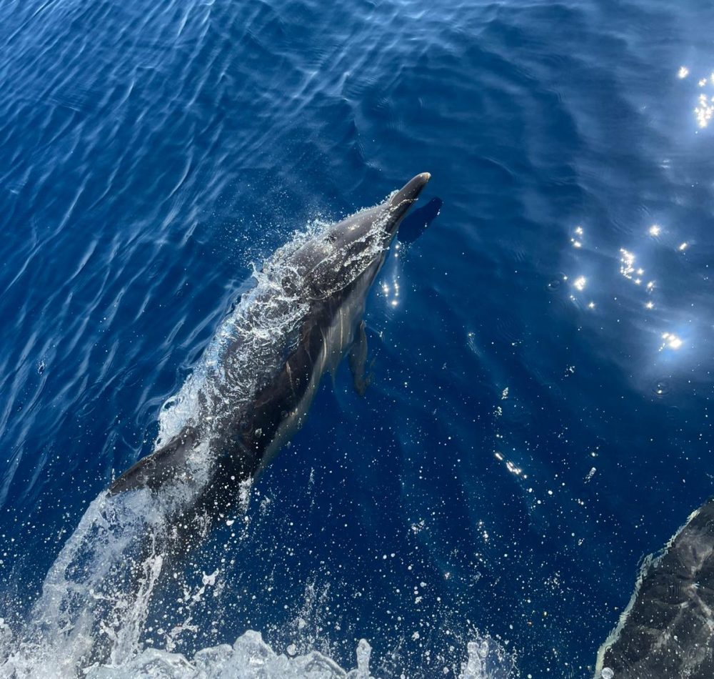 WhatsApp Image 2025-06-24 at 19.52.44_08737d57