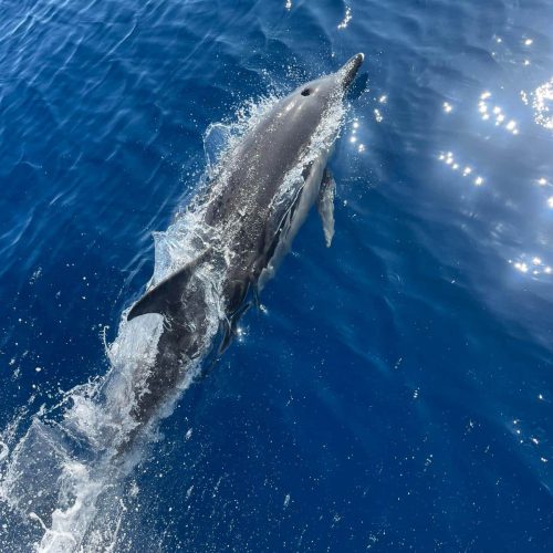 WhatsApp Image 2025-06-24 at 19.52.44_91b068ea