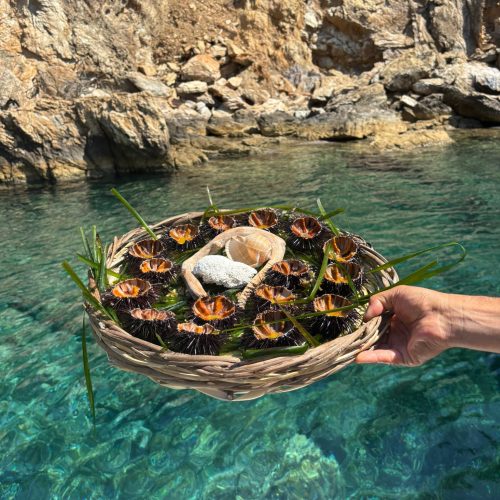 WhatsApp Image 2025-06-25 at 22.33.22_d2bae49e