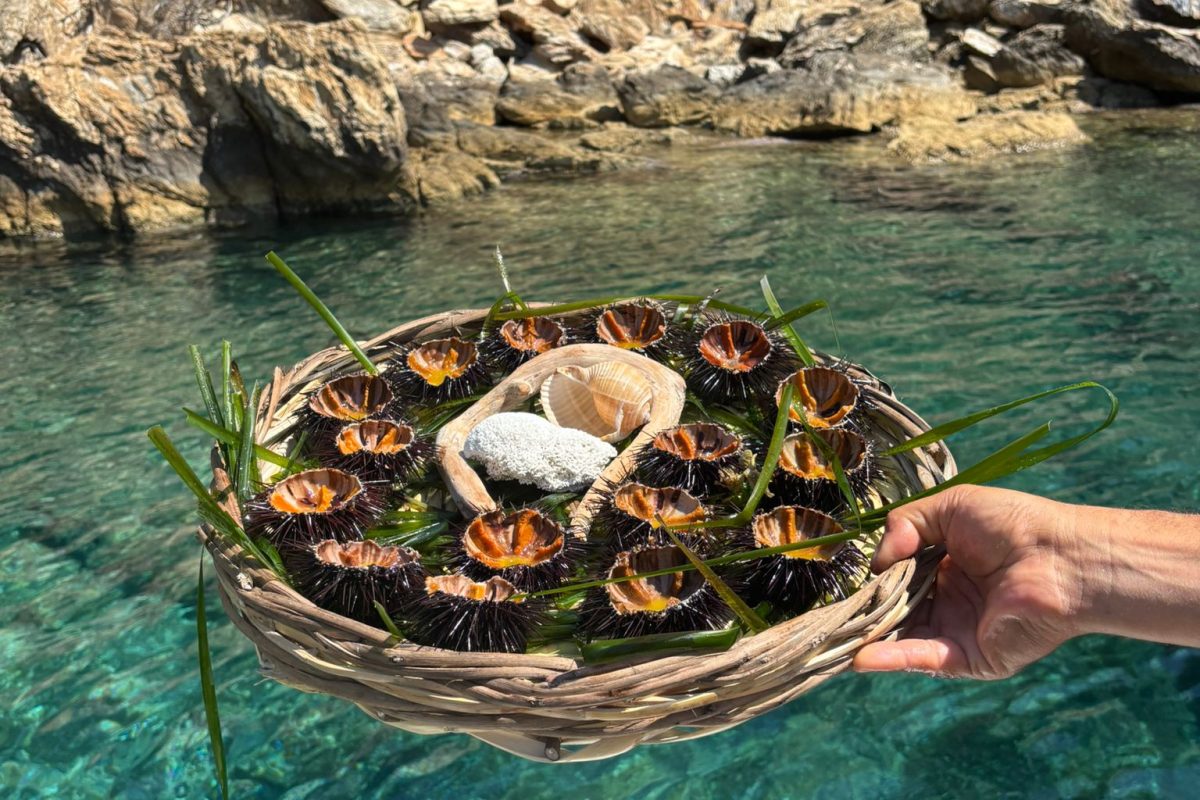 WhatsApp Image 2025-06-25 at 22.33.22_d2bae49e