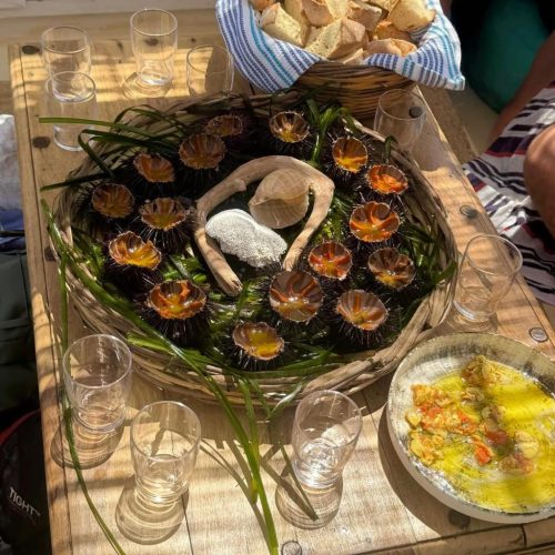 WhatsApp Image 2025-06-25 at 22.33.24_0b5e82dd