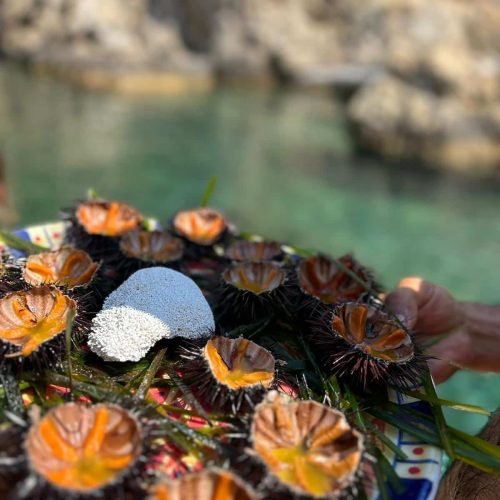 skiathos-experience (17)