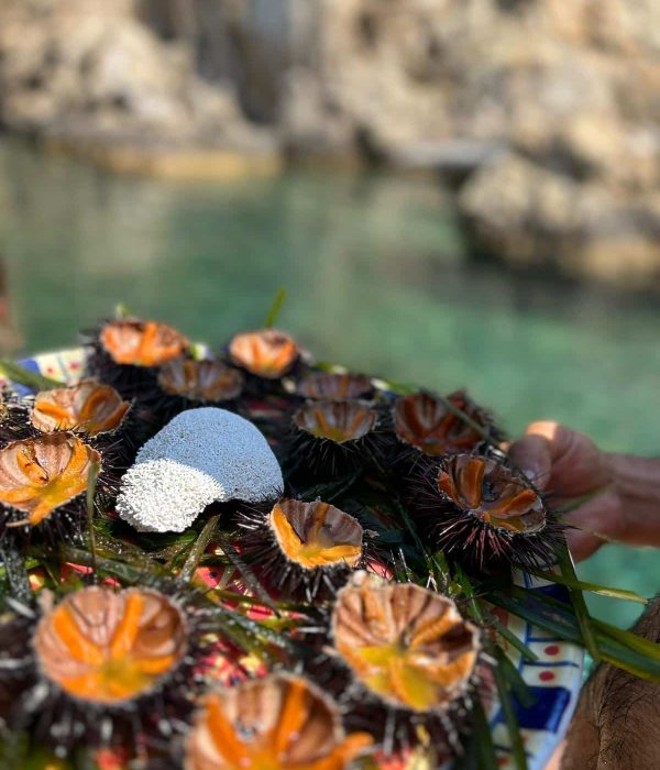 skiathos-experience (17)