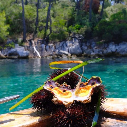 skiathos-experience (24)